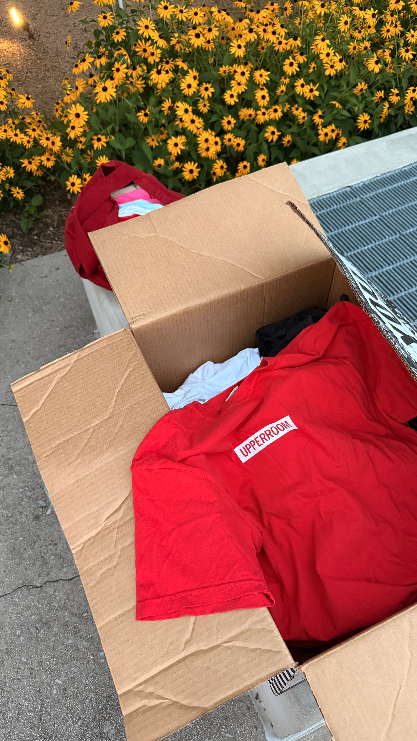 BOX LOGO TEE: RED